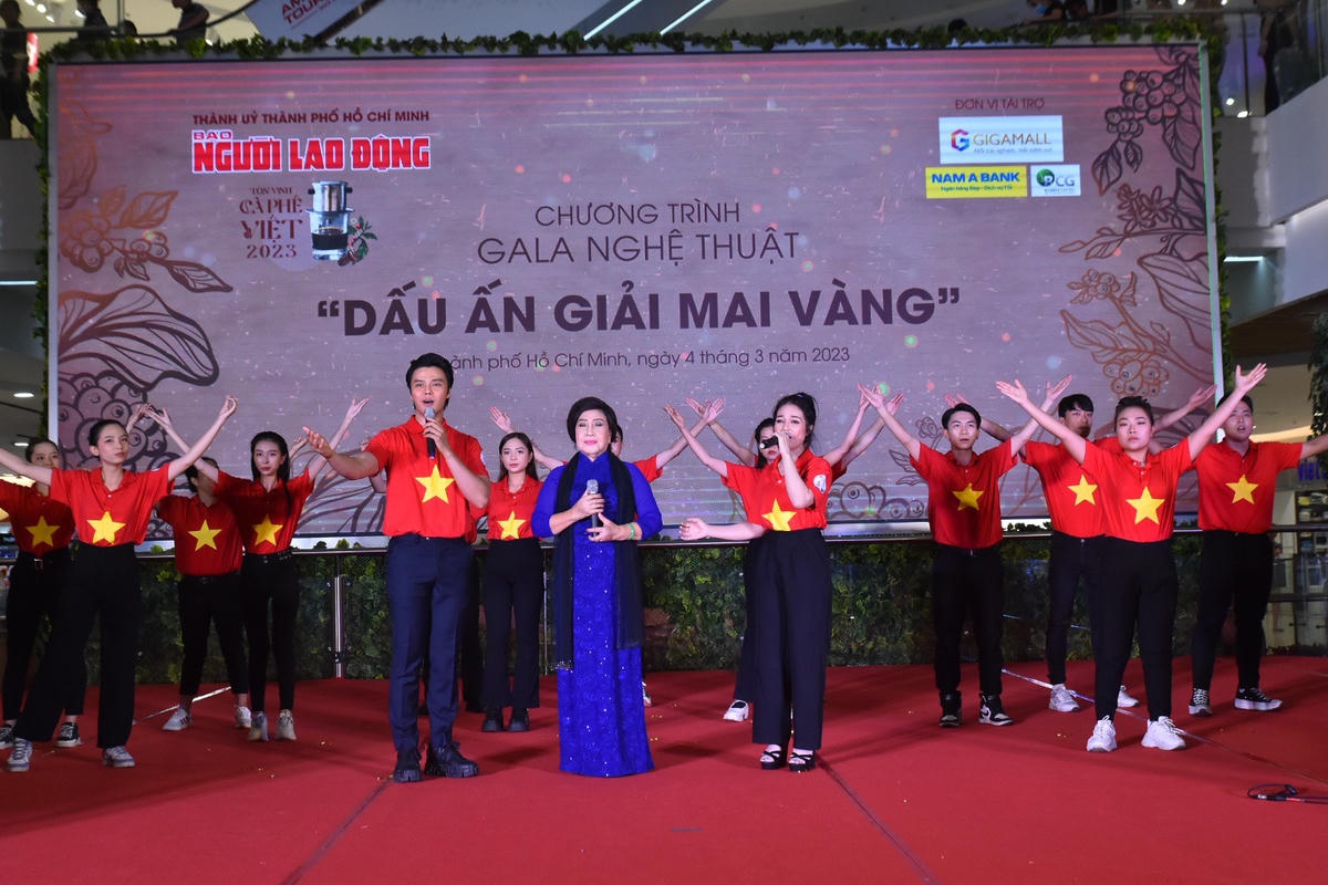Nghệ sĩ Lệ Thủy biểu diễn trong chương trình nghệ thuật. 