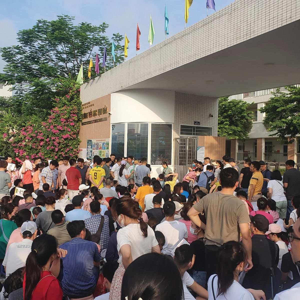 Hàng trăm phụ huynh xếp hàng để nộp hồ sơ cho con vào lớp 1 tại Trường Tiểu học Vạn Bảo, Hà Đông, Hà Nội.  