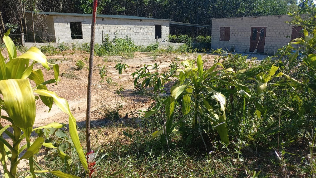 Tỉnh Quảng Trị phấn đấu hoàn thành giải phóng bàn giao 70% mặt bằng trước ngày 20/11.