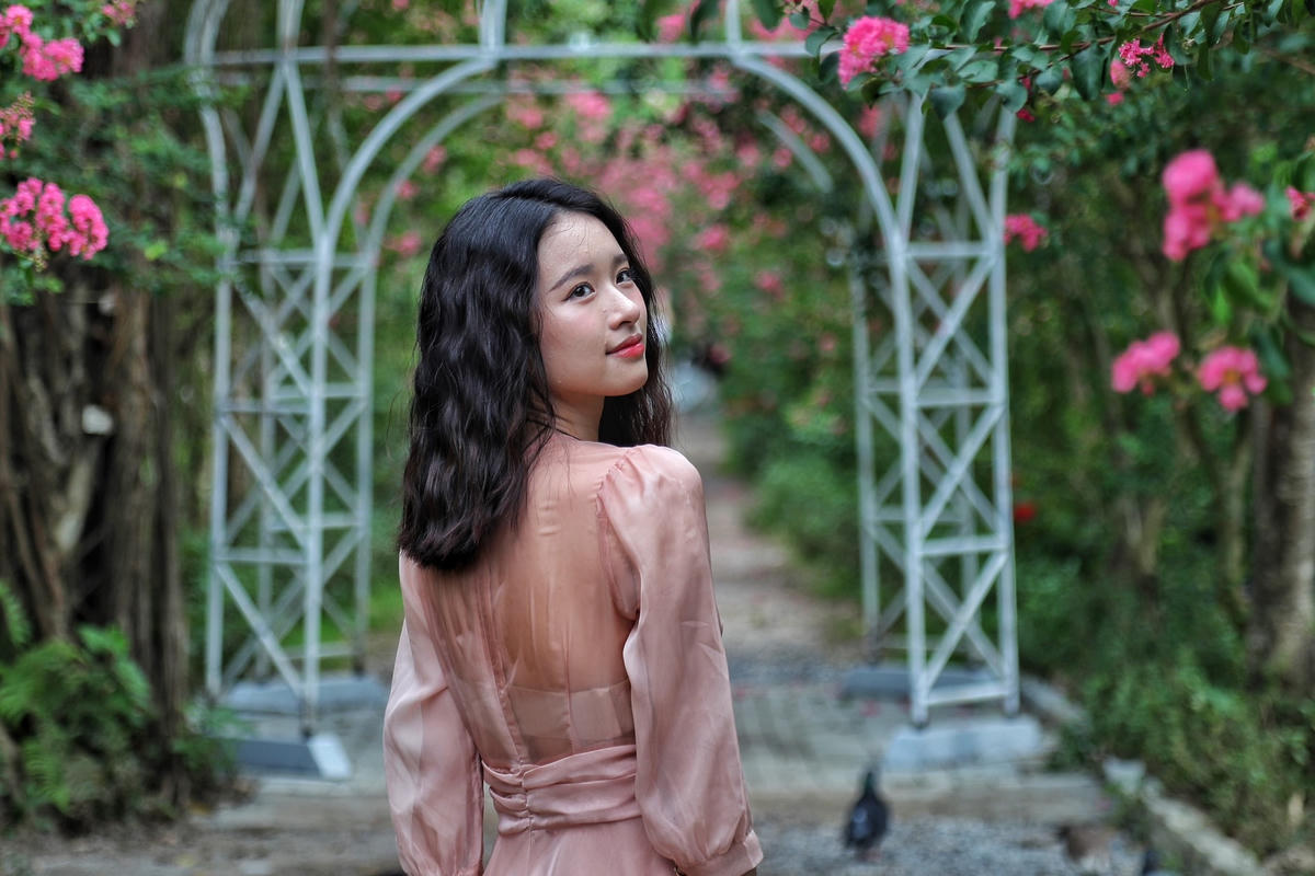 Mùa hoa tường vi nở giới trẻ đua nhau đi chụp ảnh