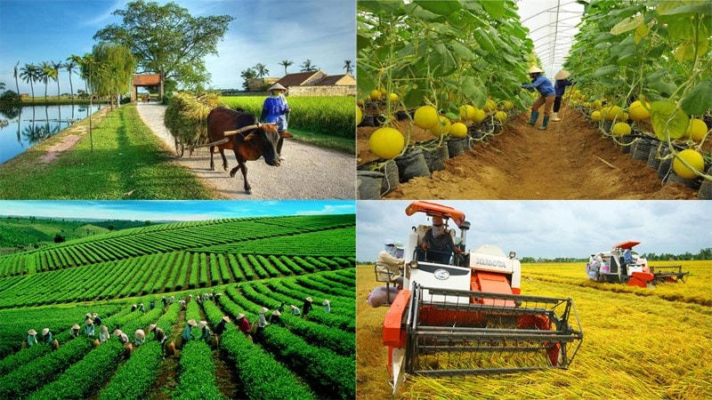 Khánh Hòa: Hơn 3,2 tỷ đồng thực hiện chương trình giảm nghèo bền vững 2023