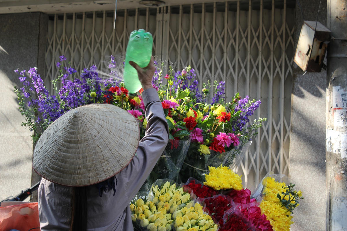 Để hoa tươi lâu, người bán hoa thường phun nước cho hoa.  