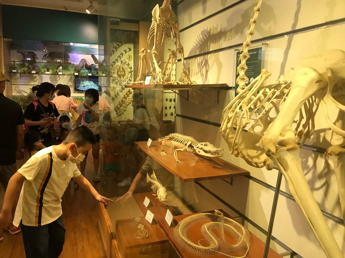 Bảo tàng hiện nay đã có sức hút hơn đối với giới trẻ.