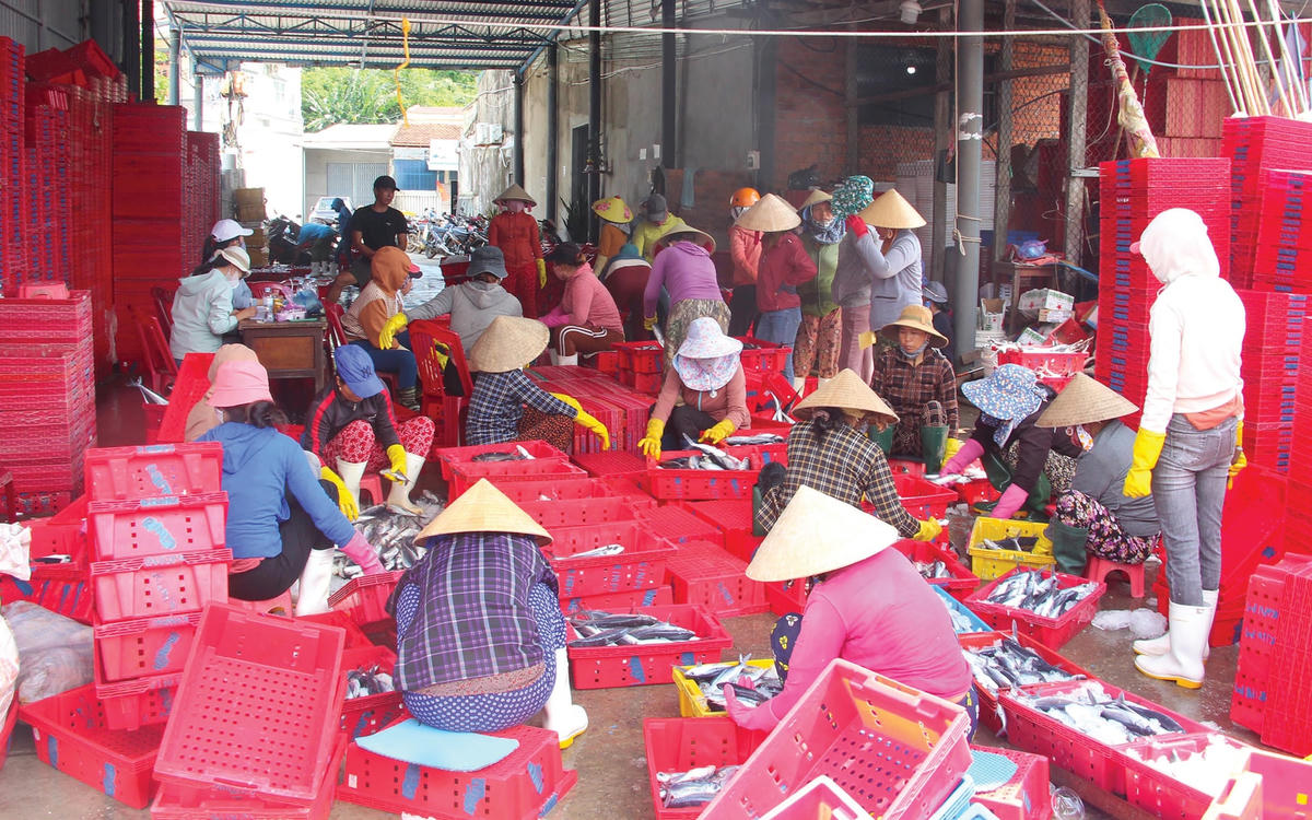 Một góc cảng cá Sa Kỳ sôi động khi tàu về.  