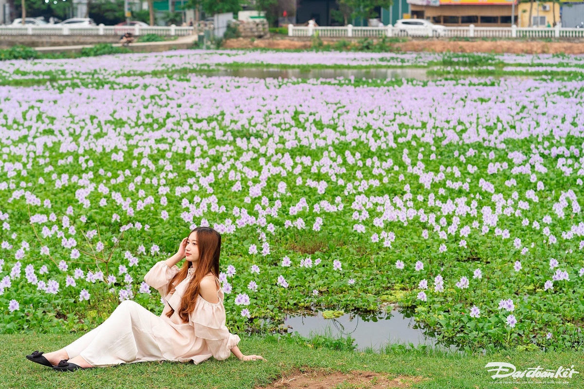 hoa_beo_tay-le-khanh14.jpg