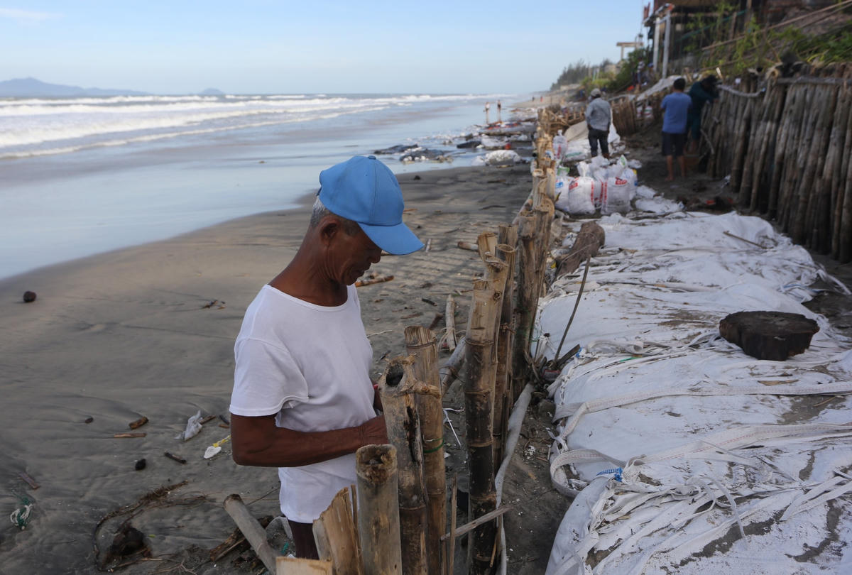 Ông Đinh Lý đang đóng cọc tre chống sạt lở bờ biển An Bàng.