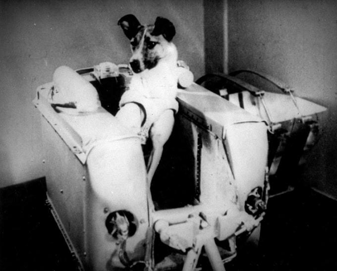 Tàu Sputnik 2 mang theo phi hành gia chó Laika cất cánh ngày 3/11/1957. Ảnh: NASM.