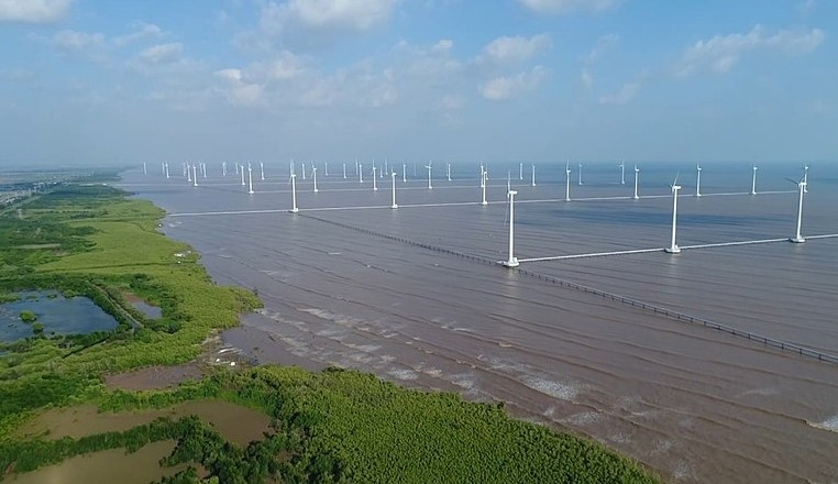 ảnh 4 Rừng ngập mặn ven biển và cánh đồng điện gió ở Bạc Liêu