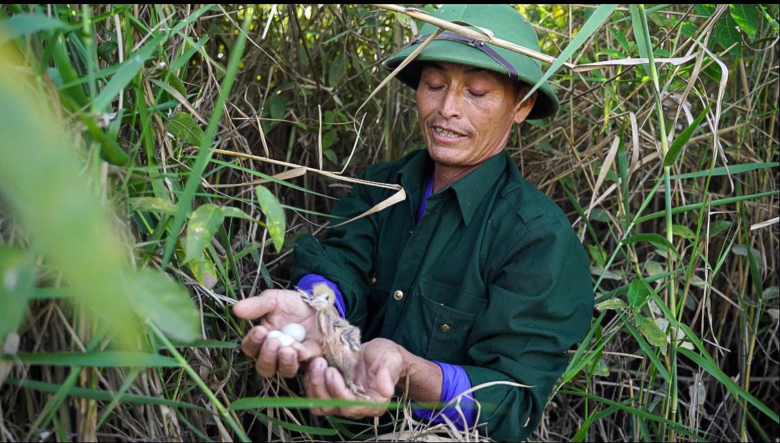 Theo ông Xuân, việc bắt chim trời rồi mang đi bán cho thu nhập rất cao, có ngày lãi gần 7 triệu đồng. Thế nhưng, buôn bán chim trời được một thời gian, thấy đàn chim ngày một ít đi, ông Xuân cảm thấy có lỗi với đầm phá. Hằng đêm không thể nào chợp mặt, tiếng cò, tiếng vạc luôn văng vẳng bên tai như lời oán trách việc làm của họ.