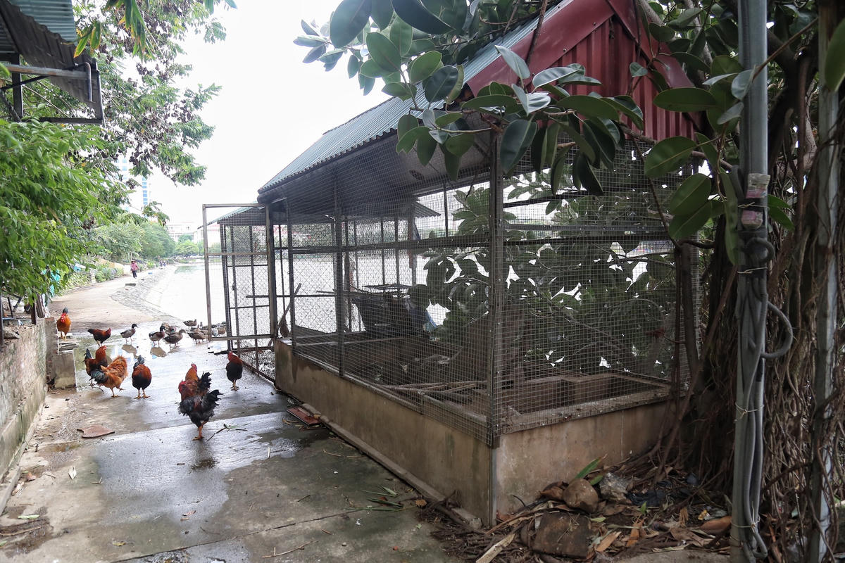 Theo ghi nhận của PV Đại Đoàn Kết Online, khu vực hồ Đầm khê là địa bàn giáp danh giữa phường Hà Cầu và Quang Trung (quận Hà Đông – Hà Nội). Do địa bàn giáp ranh nên việc công tác xử lý vi phạm trật tự đô thị, vệ sinh môi trường còn gặp nhiều khó khăn. Khu vực lòng hồ và đường bao quanh hồ Đầm Khê do UBND phường Hà Cầu quản lý, còn khu dân cư quanh hồ do phường Quang Trung quản lý.
