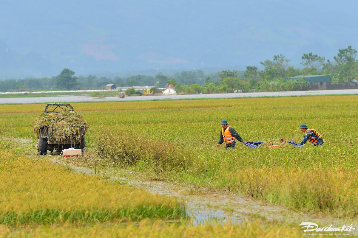 bo_doi_gat_lua-le-khanh5.jpg