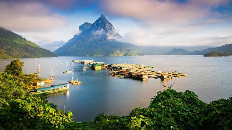 Nuôi cá đặc sản bằng lồng bè trên lòng hồ thủy điện Na Hang với nhiều giống quý hiếm như: Anh vũ, Dầm xanh, Lăng, Chiên và cá Bỗng, là năm loại cá đặc hữu của các dòng sông phía Bắc, được dân gian xưng tụng “ngũ quý hà thủy”, nghĩa là 5 loại thủy sản quý hiếm bậc nhất. Du khách nếu được tham quan khu nuôi thả cá và được thưởng thức 1 trong 5 loại đặc sản này cũng là một trải nghiệm để đời, khó quên.