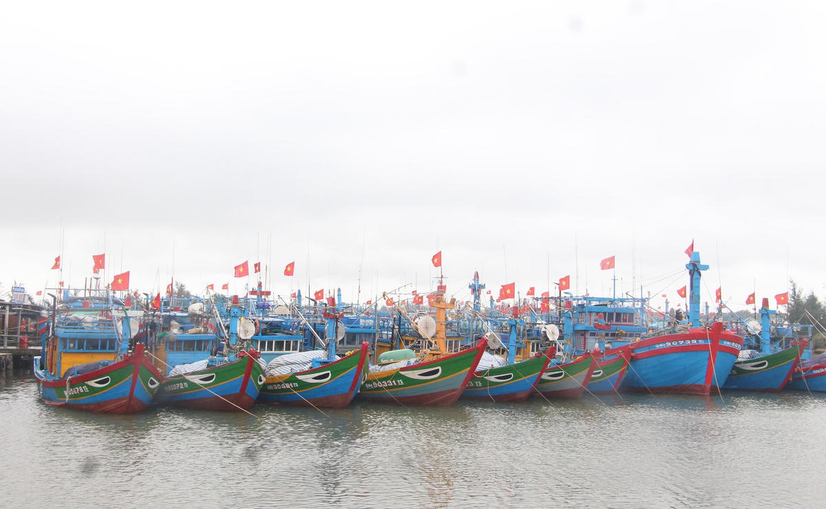 Một góc cảng cá Sa Kỳ đầu năm Quý Mão 2023.