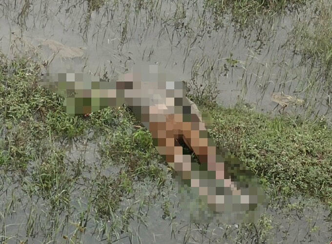 Thi thể nam giới phát hiện trên cánh đồng, chưa rõ danh tính.