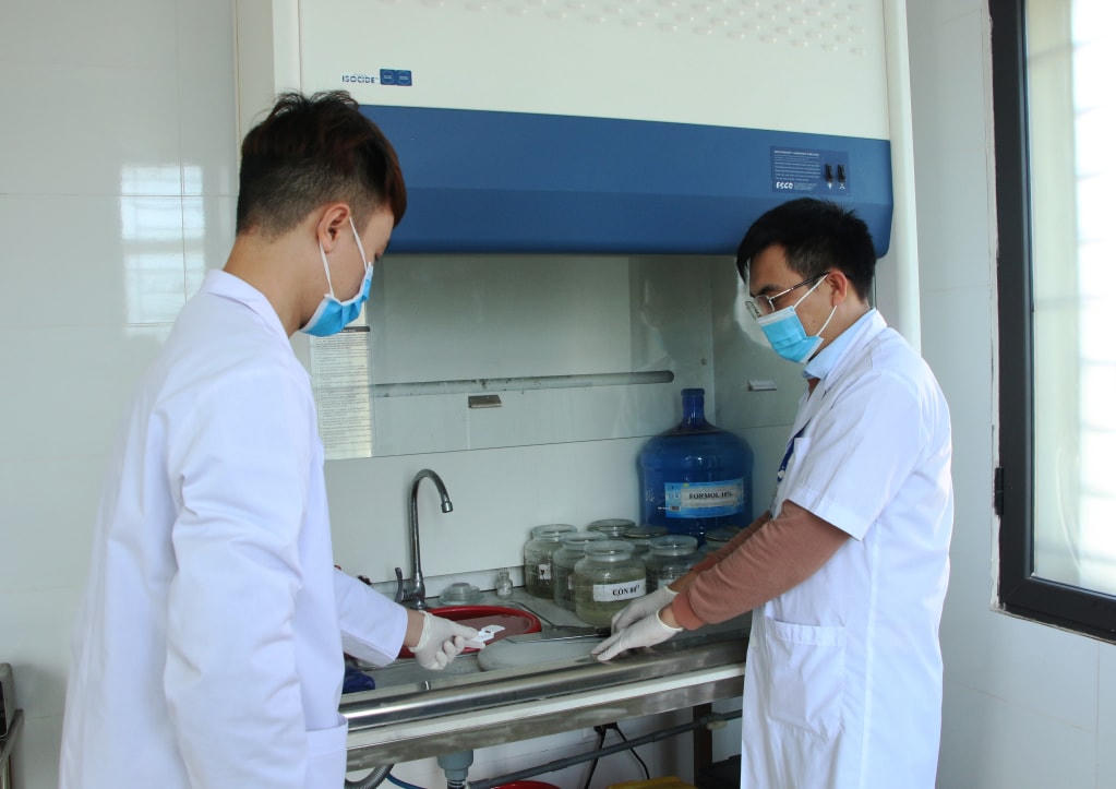 Các bác sĩ của Trung tâm Pháp y tỉnh Quảng Ninh thực hiện pha bệnh phẩm tử thi. Ảnh: Nguyễn Dung.