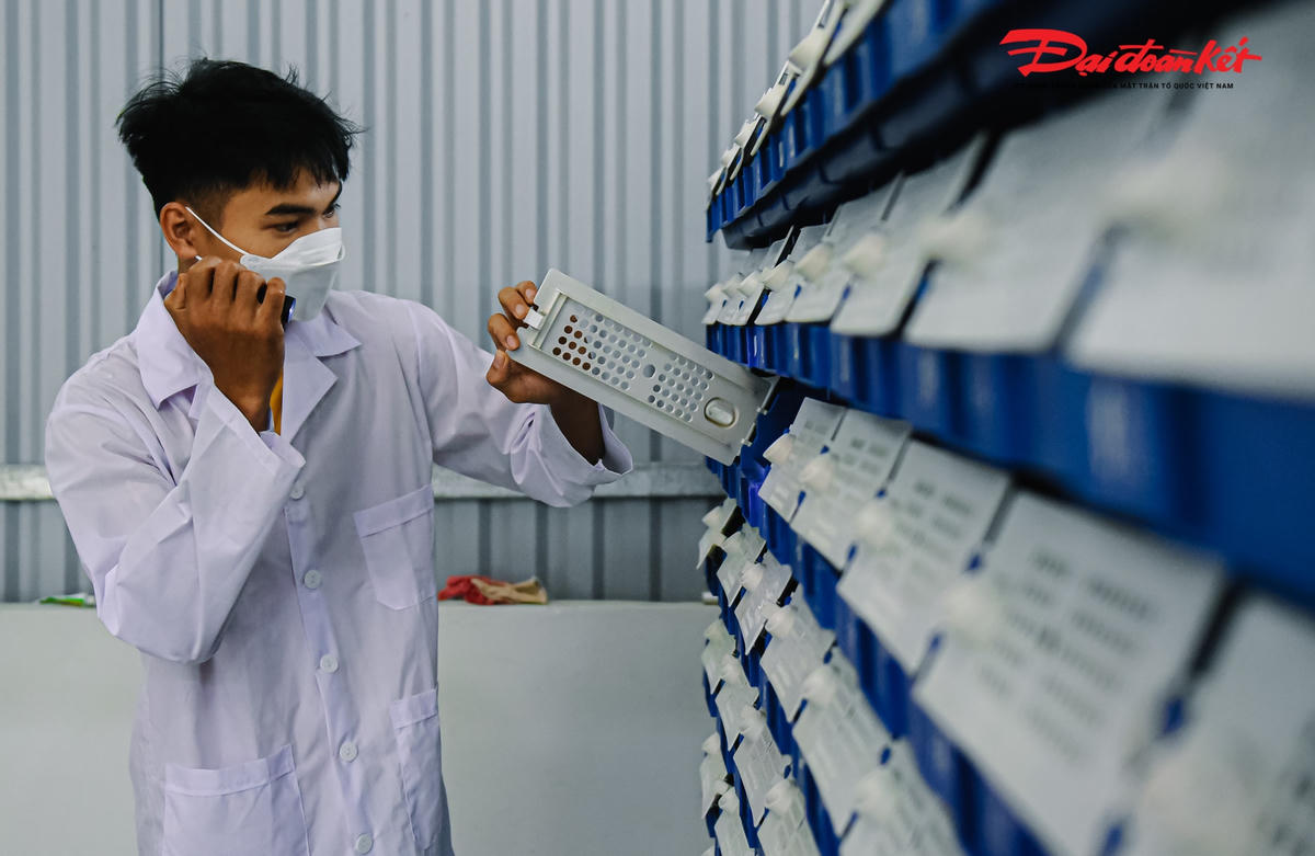 Từng con giống ở đây đều được nhập từ Cà Mau đảm bảo chất lượng cao. Cua giống có trọng lượng khoảng 150 g/con, sau khi được nuôi trong hệ thống tuần hoàn, mỗi lần cua lột, trọng lượng sẽ tăng 50 g - 100 g.