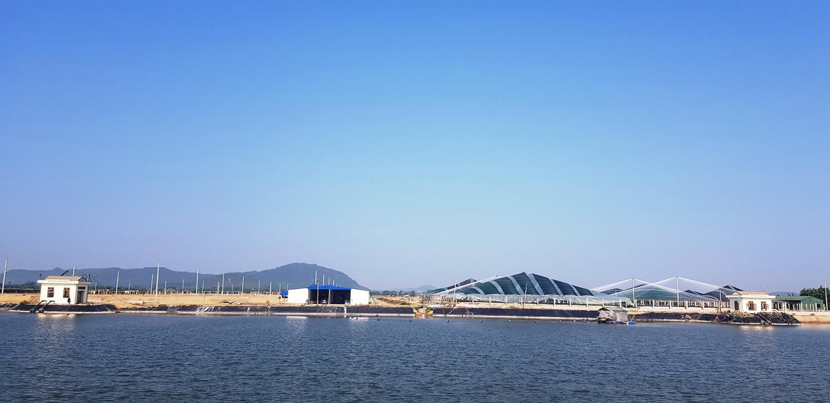 Người nuôi tôm tại xã Thanh Thủy đang chờ những giải pháp tháo gỡ khó khăn đối với đồng tôm.