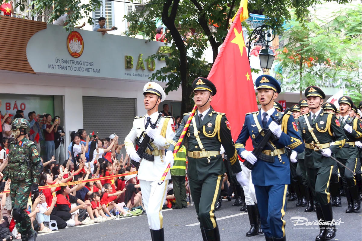 4f3365a546cdcd9394dc.jpg