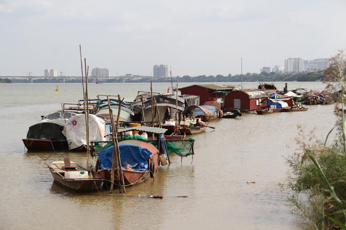 Nhiều hộ dân hiện đang sinh sống trên những ngôi nhà tạm ở bãi giữa sông Hồng.