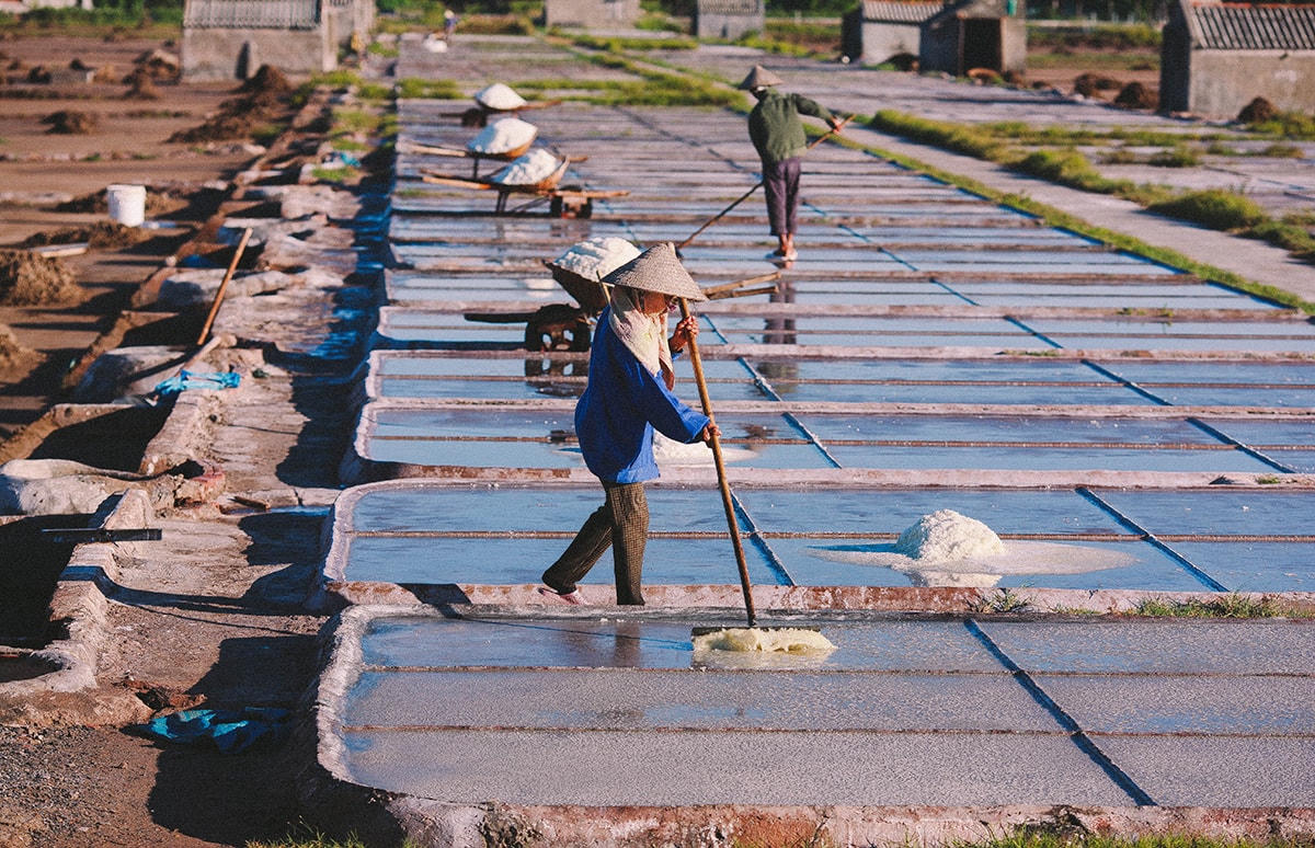 Diêm dân trên cánh đồng muối.