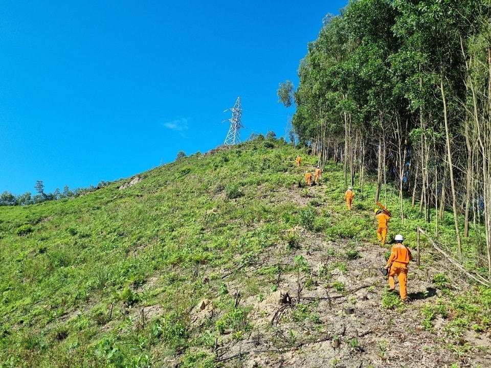 Công nhân đội Quản lý vận hành lưới điện cao thế LVHLĐCT Hà Tĩnh đi bộ qua nhiều địa hình để đến hiện trường làm việc.