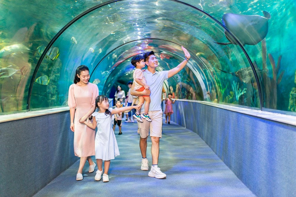 VinWonders tưng bừng khởi động lễ hội hè Wonder Summer 2023