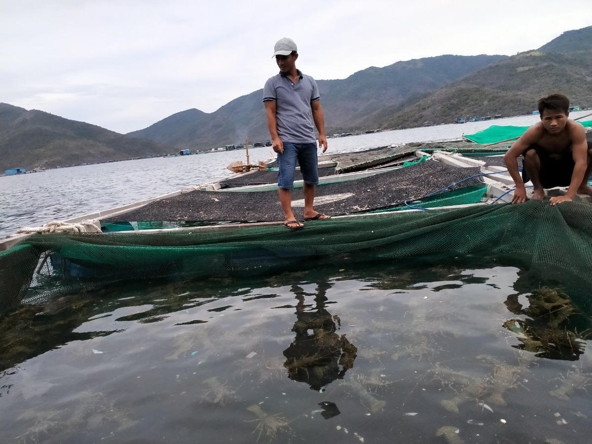 nuoi-trong-thuy-san-o-khanh-hoa..jpg