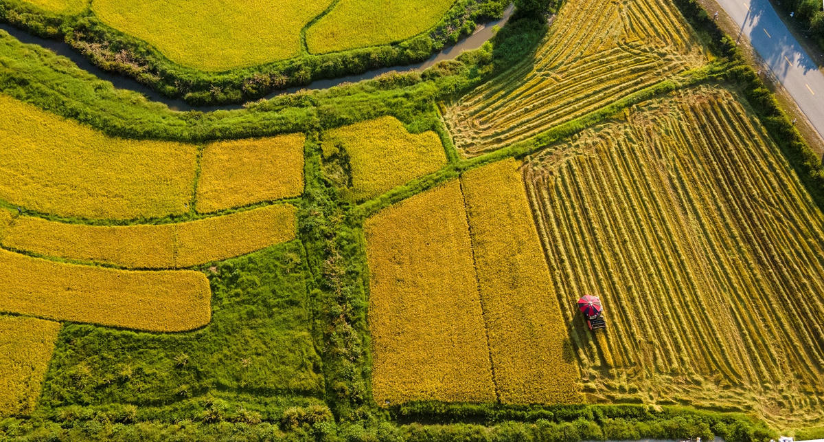 dji_0893.jpg