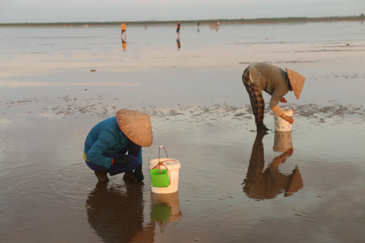Mỗi sáng sớm, người trong làng tụ tập lại đây rất đông. Điểm khác biệt của kỹ thuật bắt ốc nơi đây là ngư dân không sử dụng vôi hay muối i-ốt để bắt ốc. Họ chỉ dựa vào quan sát và kinh nghiệm truyền lại.