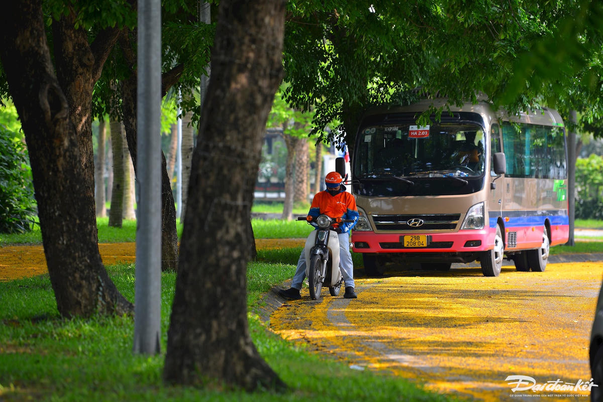 hoa_giang_huong-le-khanh6.jpg