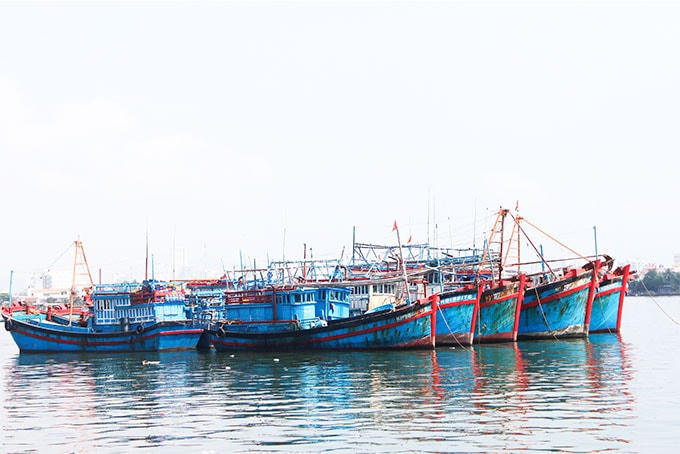 Toàn bộ tàu cá có chiều dài từ 15m trở lên, muốn ra khơi phải lắp đặt thiết bị giám sát hành trình.