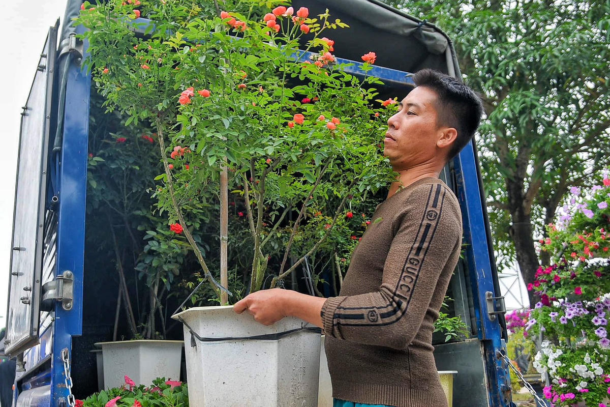 Đặc biệt, Festival hoa Mê Linh năm 2022 được tổ chức nhân sự kiện huyện Mê Linh đạt chuẩn Nông thôn mới, đón nhận Huân chương Lao động hạng Ba và được công nhận là điểm đến du lịch di tích quốc gia đặc biệt với di tích đền thờ Hai Bà Trưng.