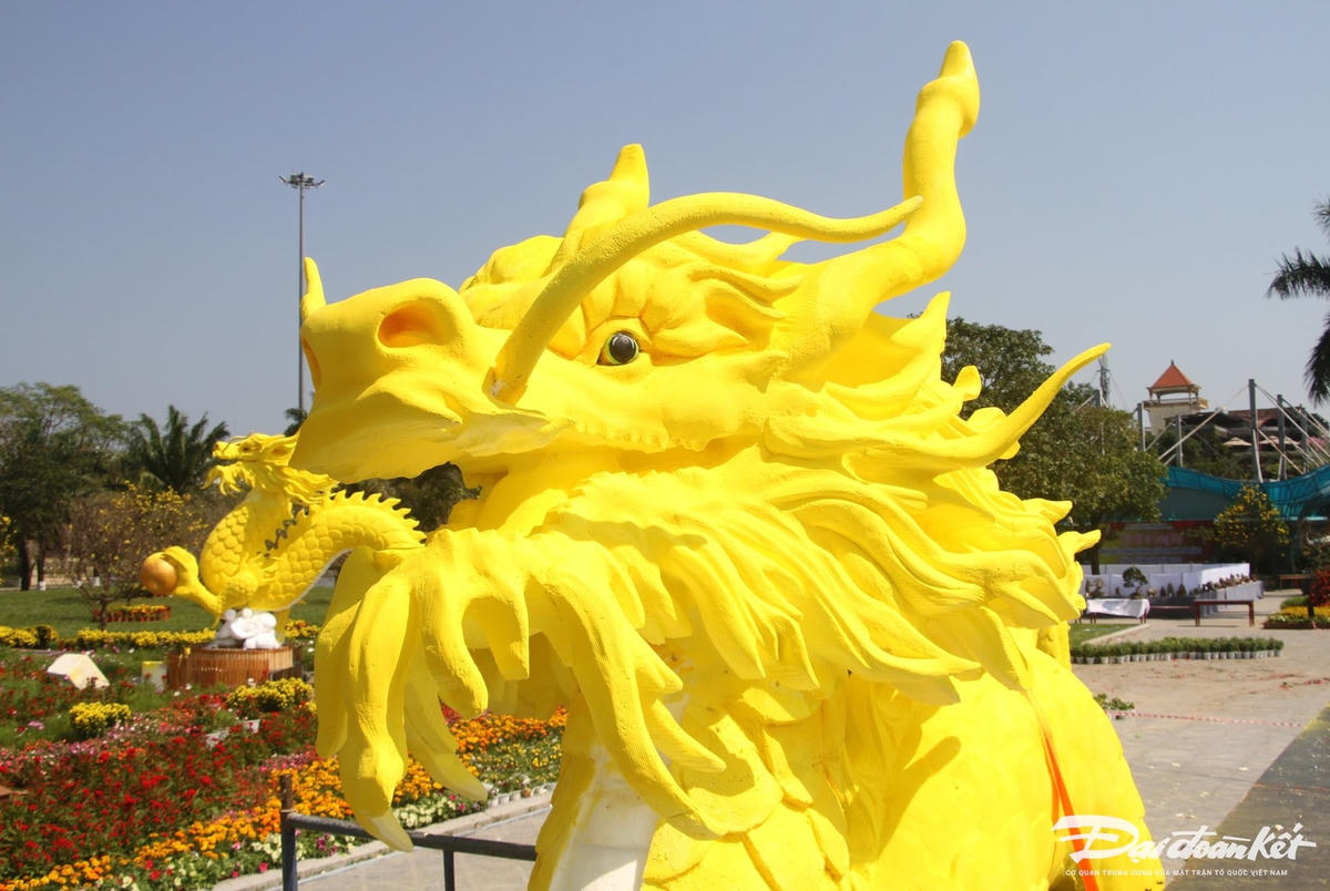 W_rong-7.jpg