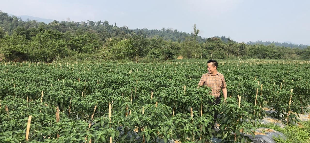 Nhiều mô hình kinh tế hiệu quả đã giúp người dân giảm nghèo bền vững.