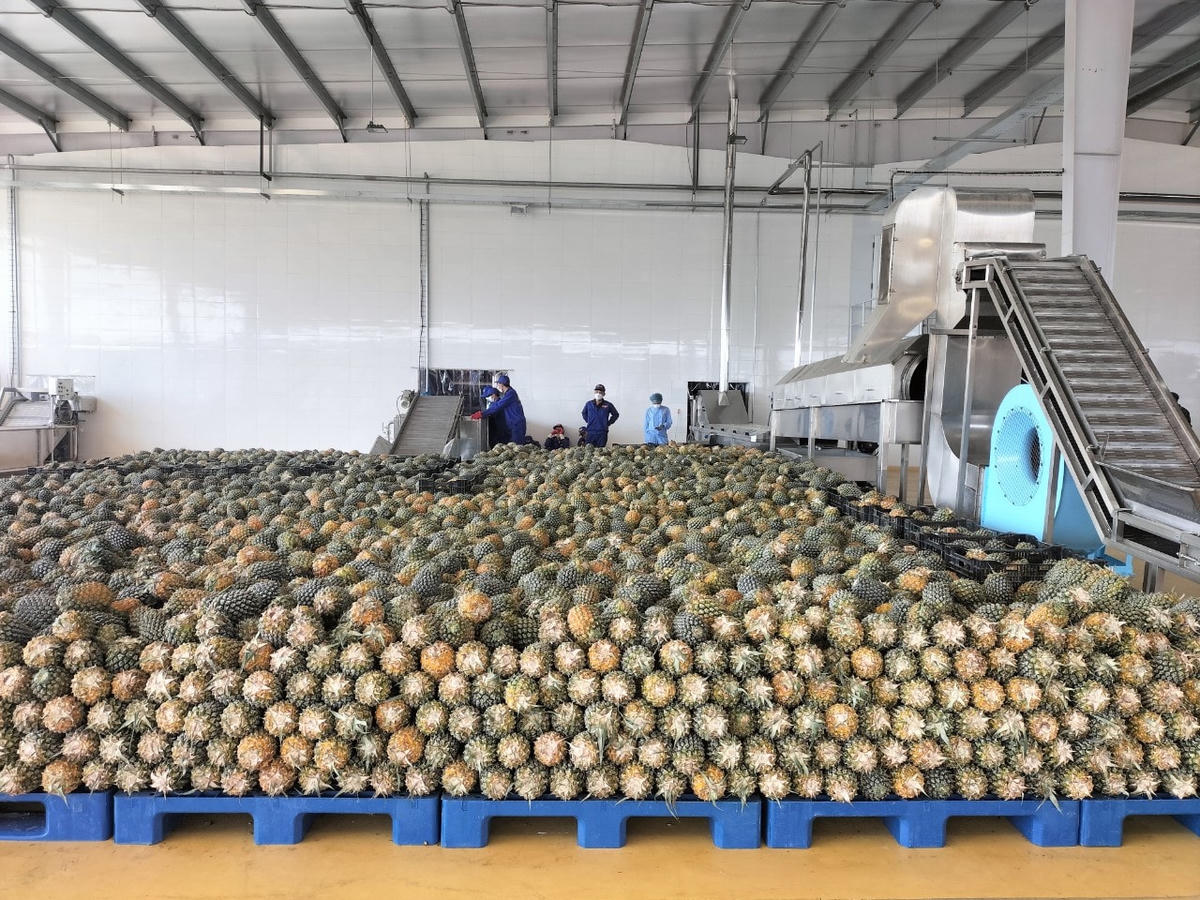 Trung tâm đi vào hoạt động sẽ tạo việc làm cho hàng chục nghìn lao động.