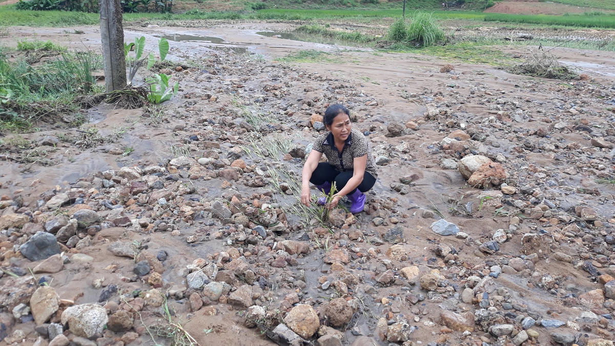Đất đá từ mỏ than Minh Tiến tràn xuống vùi lấp nhiều hecta ruộng của người dân xã Na Mao do việc khai thác quá công suất và không quan tâm tới bảo vệ môi trường. Ảnh: Toán Nguyễn.