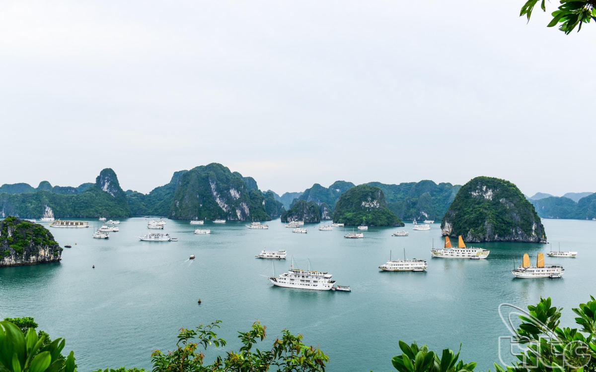 Vịnh Hạ Long nằm trong top 10 điểm du lịch hấp dẫn nhất thế giới năm 2022. Ảnh: Tổng cục Du lịch.