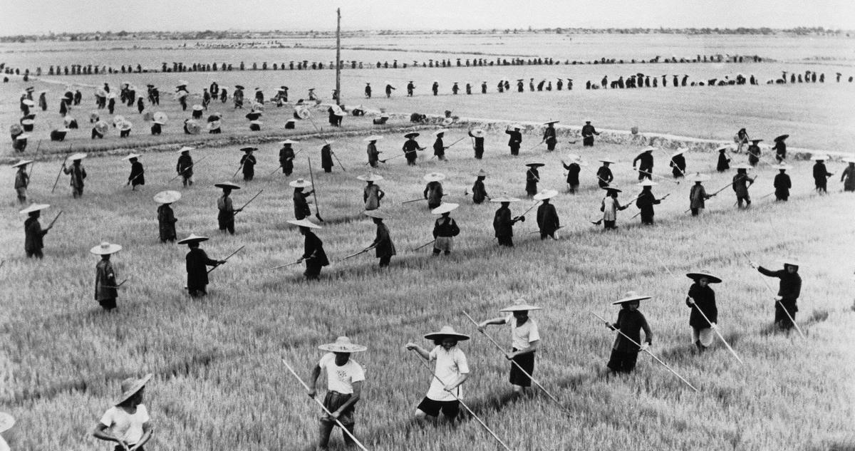 Nạn đói lớn ở Trung Quốc (1959-1961). Ảnh: NY Times.