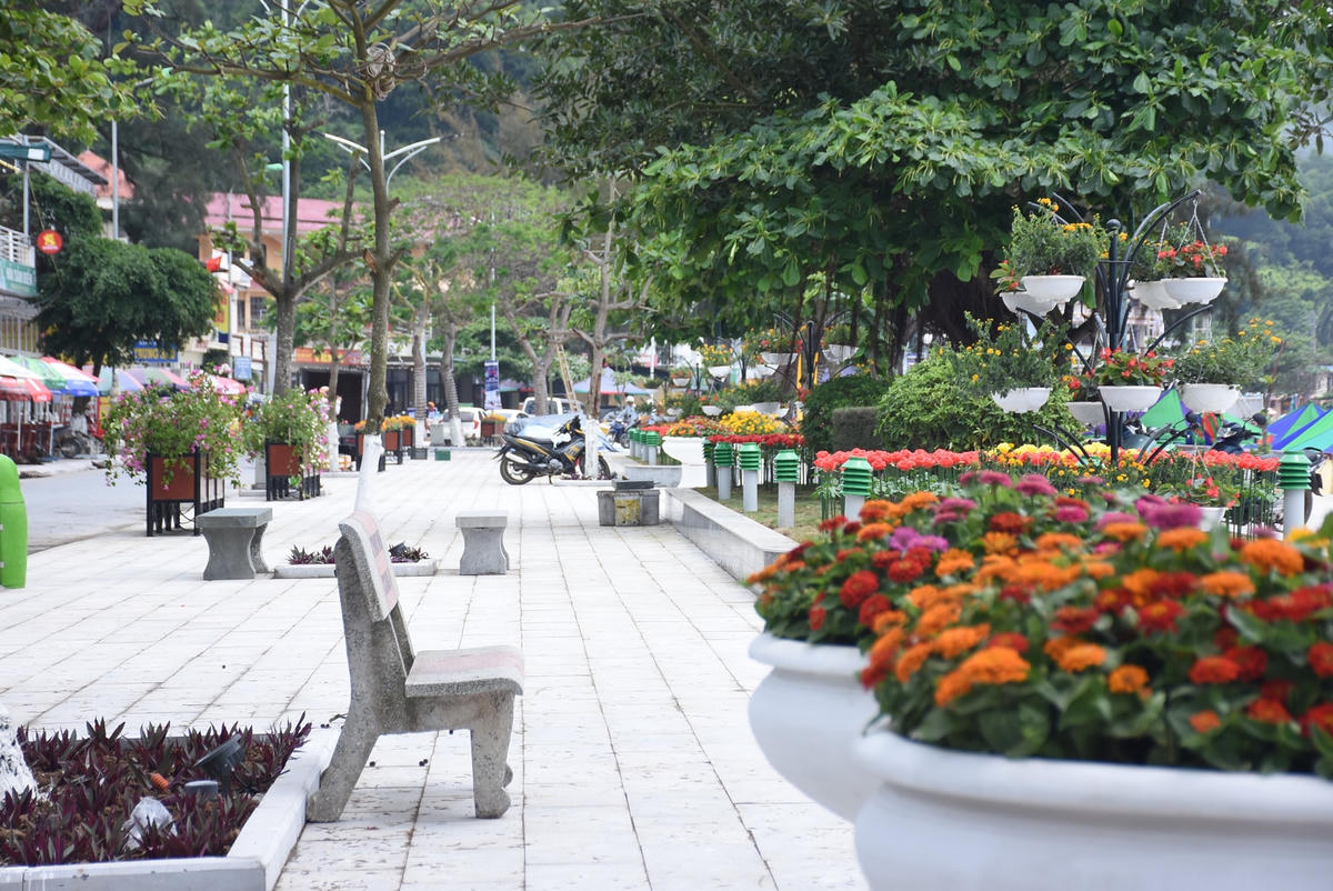 Hải Phòng đang đẩy nhanh trình tự thủ tục để thực hiện Chương trình mỗi phường một vườn hoa cây xanh.