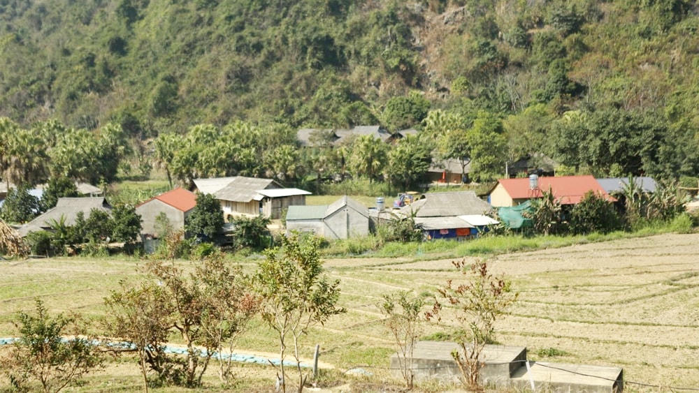 Ảnh minh họa: bacgiang.gov.vn