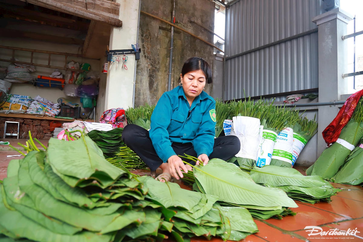 W_la-dong_le-khanh11.jpg