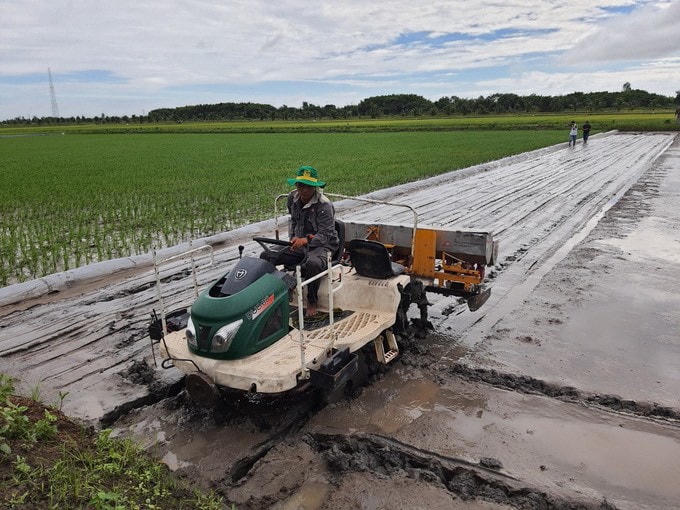 Người dân huyện Hồng Dân (tỉnh Bạc Liêu) cải tạo đất trước khi xuống giống lúa - tôm.