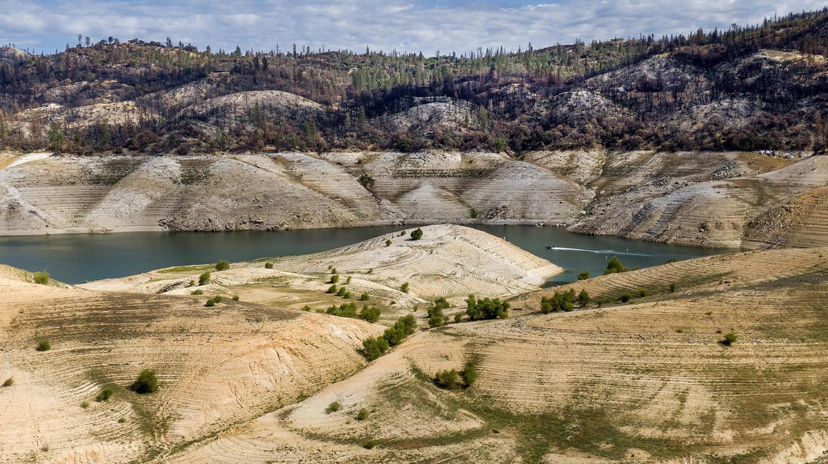 Một chiếc thuyền băng qua Hồ Oroville bên dưới những tán cây bị cháy sém trong Đám cháy North Complex năm 2020, ảnh được chụp ngày 23/5/2021.    