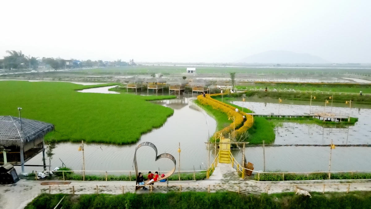 Trên cánh đồng lúa ở xã Thạch Hạ xuất hiện con đường hoa đủ màu sắc rực rỡ, đây là mô hình thí điểm phát triển kinh tế kết hợp nông nghiệp sinh thái đầu tiên ở địa phương này. 