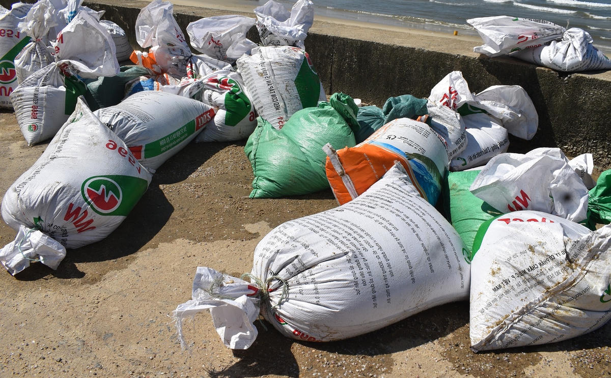 Từng tải ốc gạo được người dân đưa lên bờ.