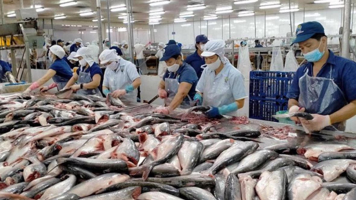nganh-thuy-san-ky-vong-bien-do-xuat-khau-khoang-9-5-10-ty-usd-nam-2024-ddk.png