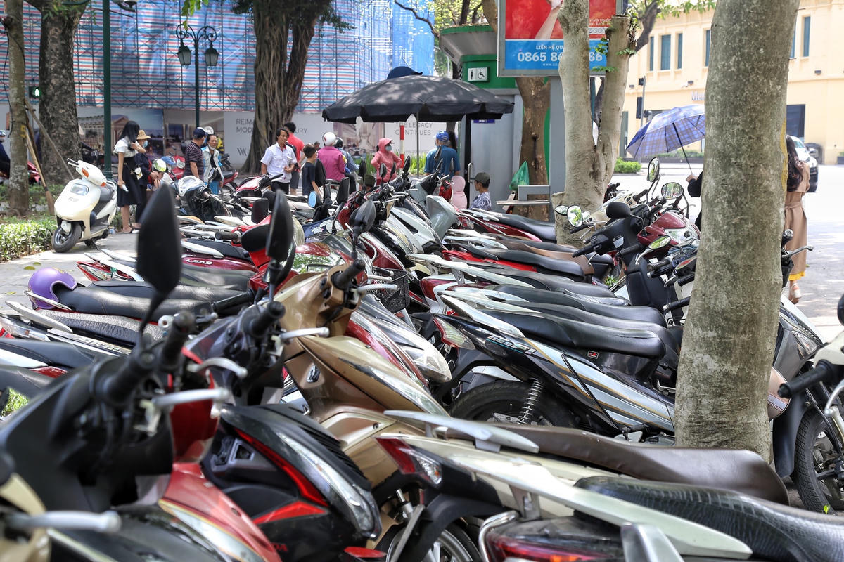 Những chiếc xe ở đây được xếp 2 hàng dọc và 1 hàng ngang.