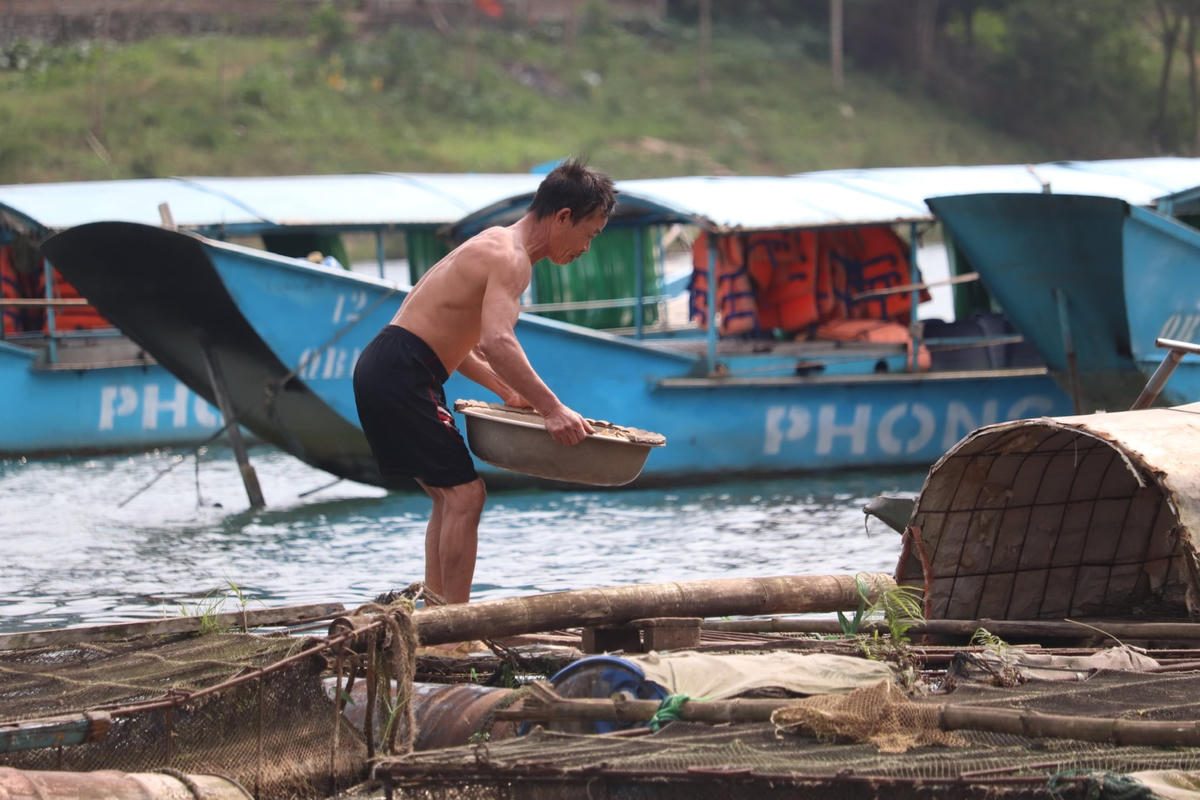 Sau khoảng 3 tháng ông Hảo sẽ vệ sinh lồng 1 lần để tạo thông thoáng mặt nước.