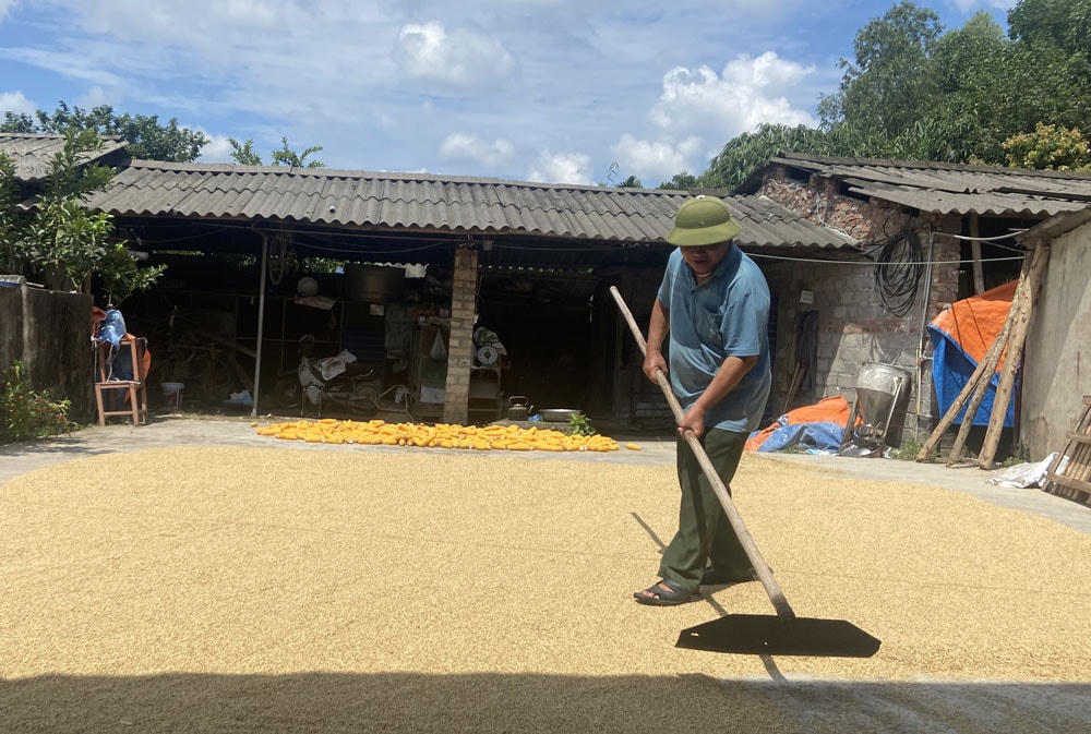 Ông Chu Đức Minh, người uy tín ở xóm Đầm Mương, xã Minh Đức (TP. Phổ Yên), luôn là tấm gương lao động sản xuất để con, cháu noi theo.