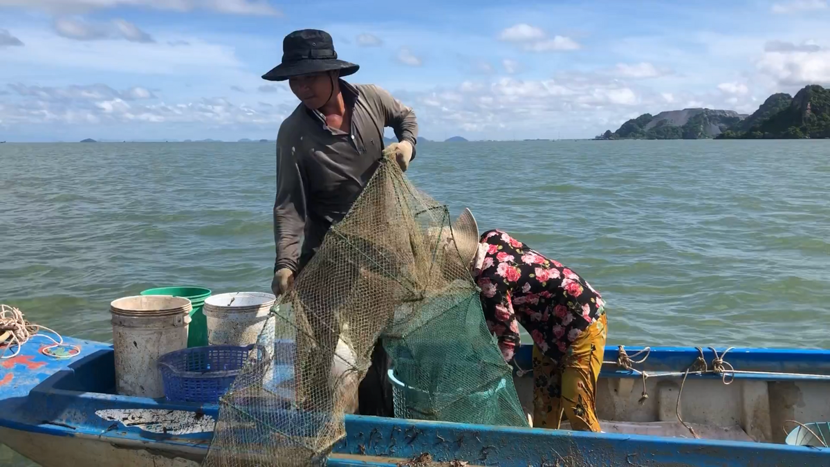 Vợ chồng chị Liên đang chèo ghe đi gỡ lọp cua.  